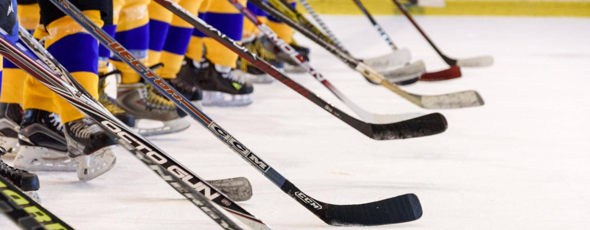 hockey sticks hockey
