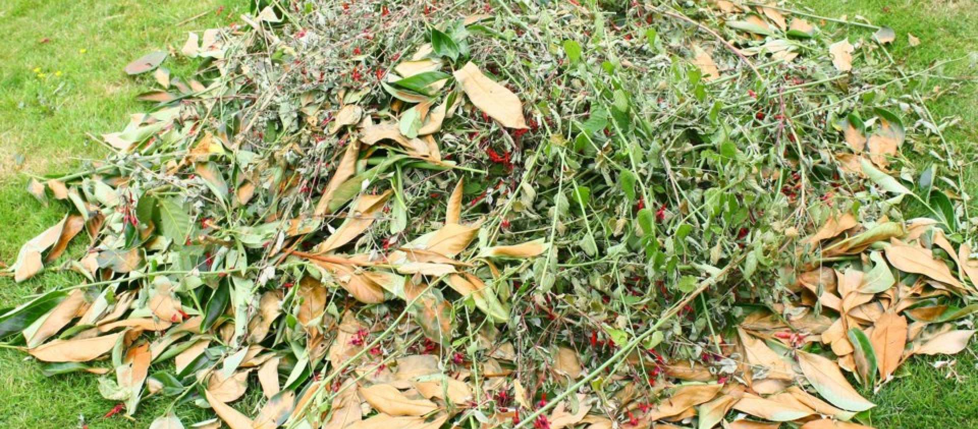 Yard Waste Yard Waste