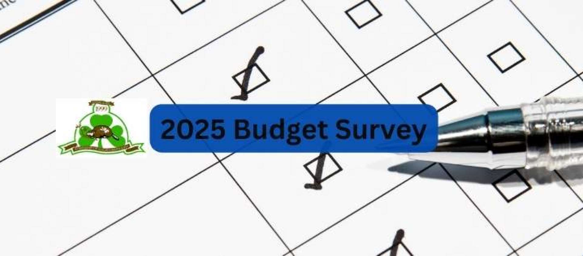 2025 Budget Survey 2025 Budget Survey