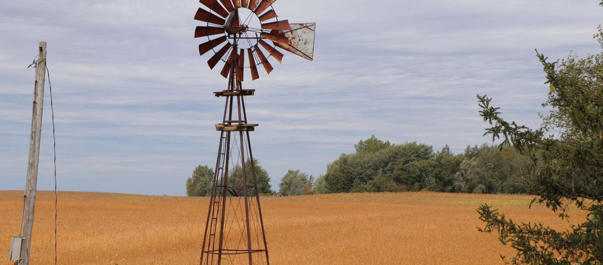 Windmill