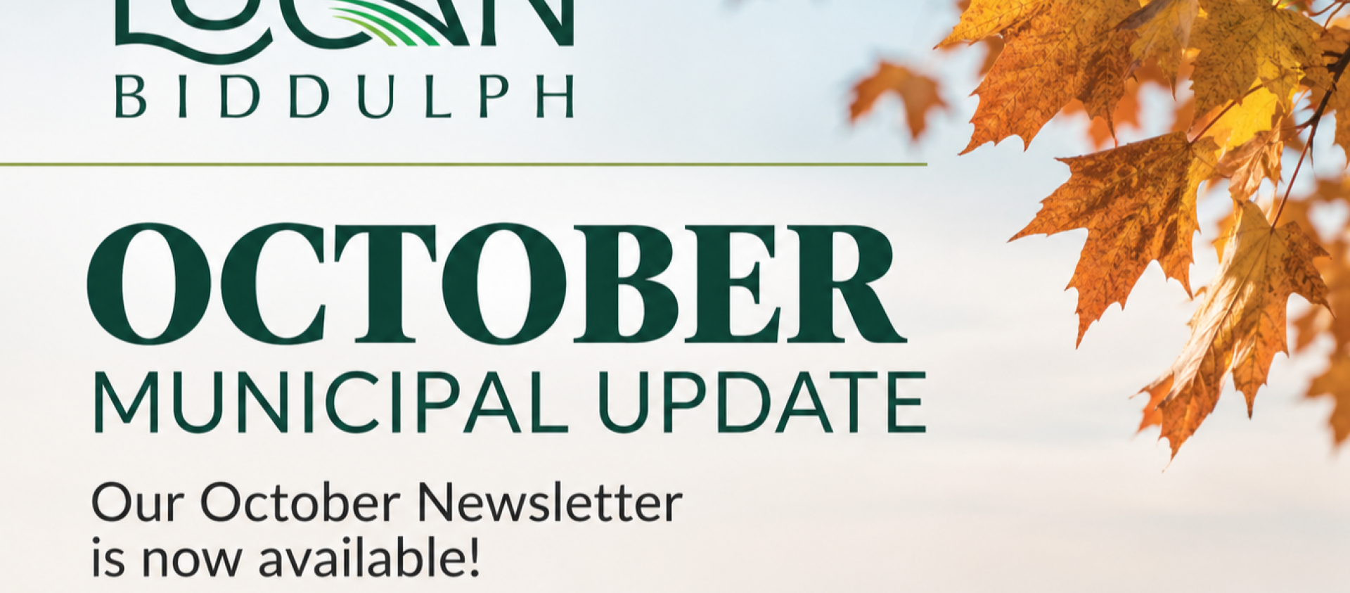 Newsletter