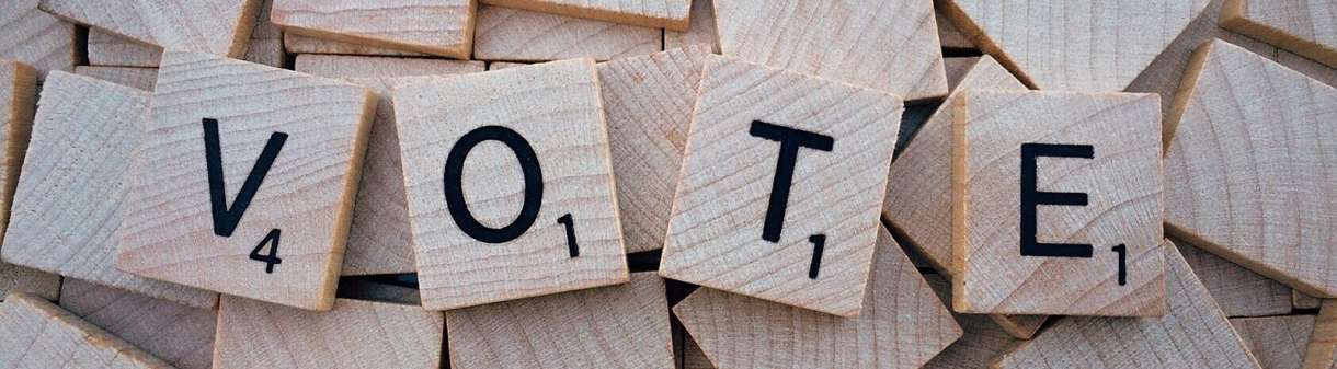 Vote Picture
