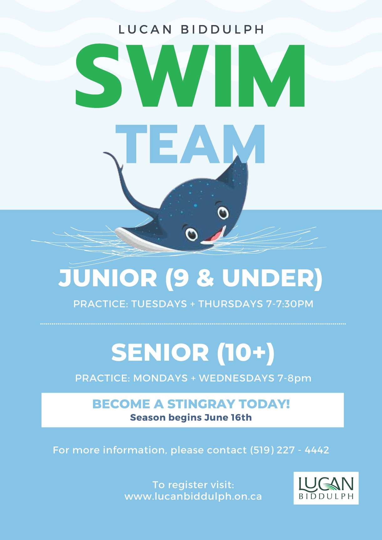 Swim Team Poster