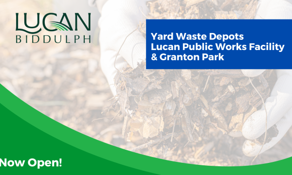 Yard Waste