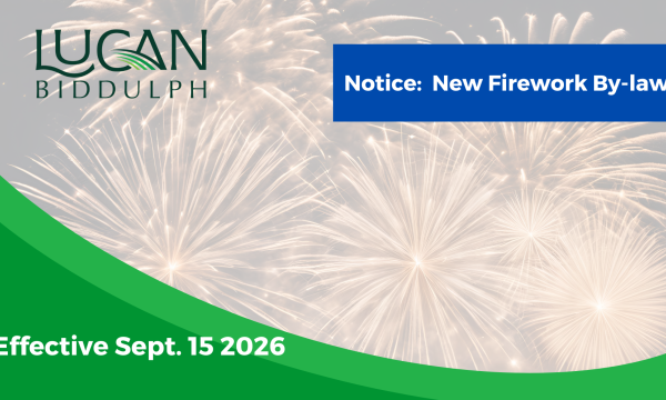 Firewworks By-law
