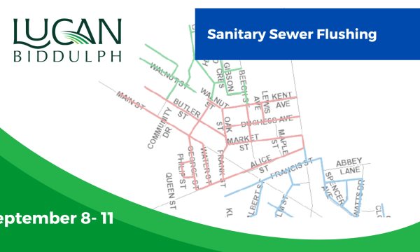 Sanitary Flushing