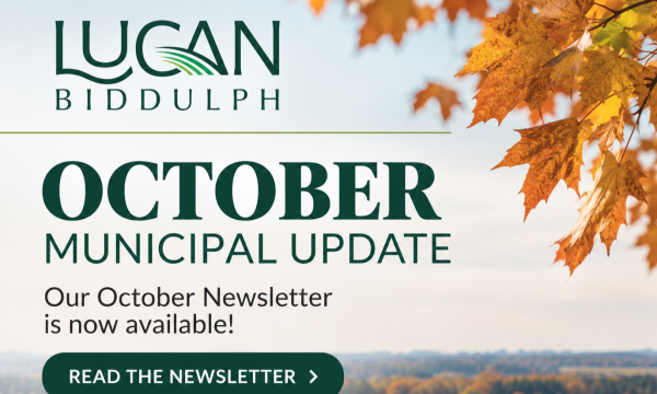 Newsletter