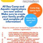 Summer Camp